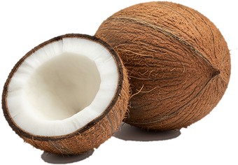 coconut