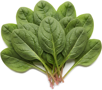 spinach